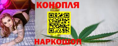 сатива Бузулук